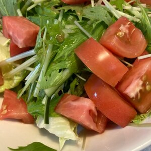 玉ねぎと水菜ときゅうりとミニトマトのサラダ